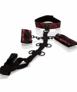 CalExotics Scandal Collar Body Restraint Bondage & Fetish