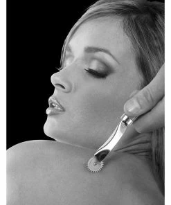 Pipedream Products Fetish Fantasy Series Limited Edition Wartenberg Wheel Bondage & Fetish