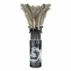 Pipedream Products Fetish Fantasy Limited Edition Love Feathers Display