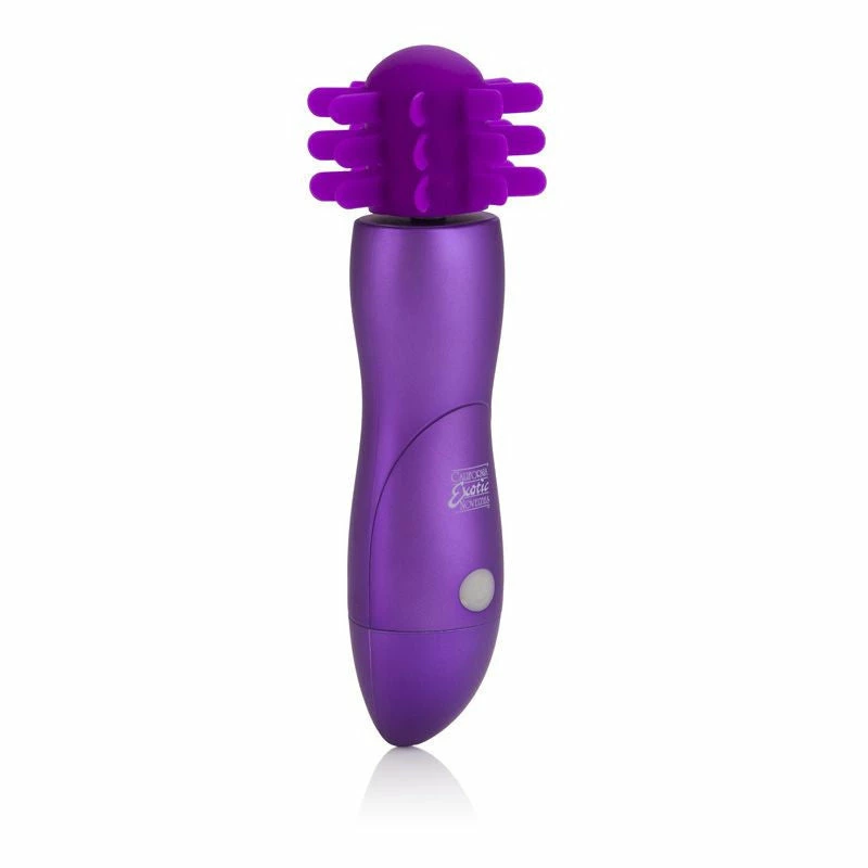 CalExotics Body & Soul Captivation Massager 1 CalExotics Body & Soul Captivation Massager