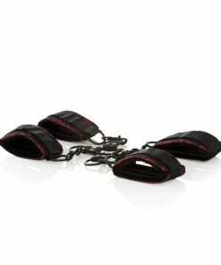 CalExotics Scandal Hog Tie