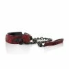 CalExotics Bondage & Fetish Scandal Collar With Leash